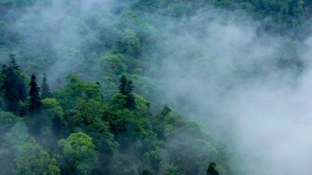 飞行员遭遇欠薪困境：以送外卖为家贴家用之策略